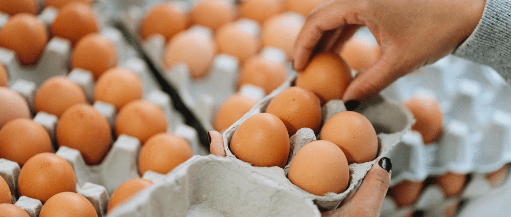 Feit of fabel: eieren bewaar je best in de koelkast