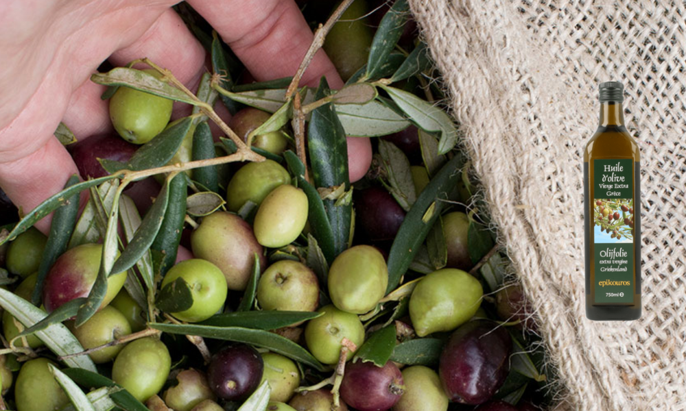 Epikouros: de beste extra vierge olijfolie ter wereld