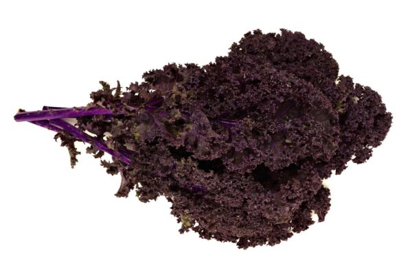Chou Kale violet