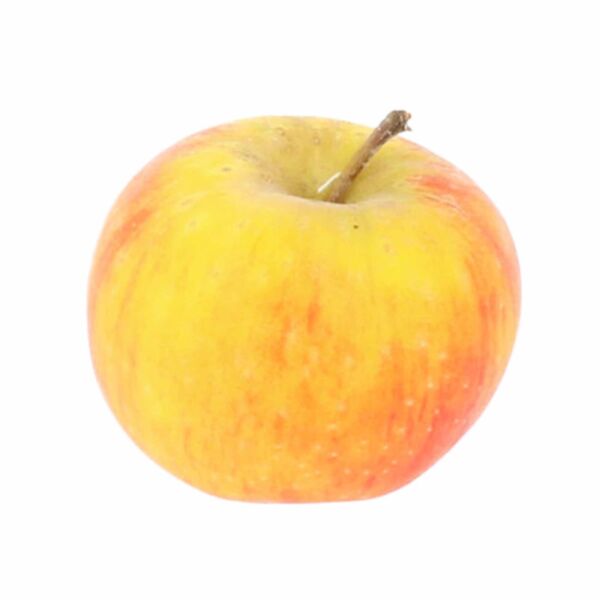 Pomme Reinette française