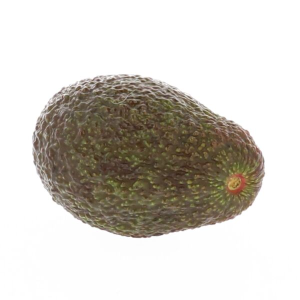 Hass avocado (+/- 0,155 kg)